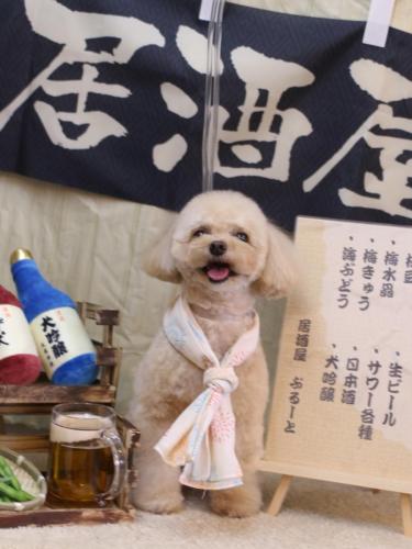 20240609むぎちゃん